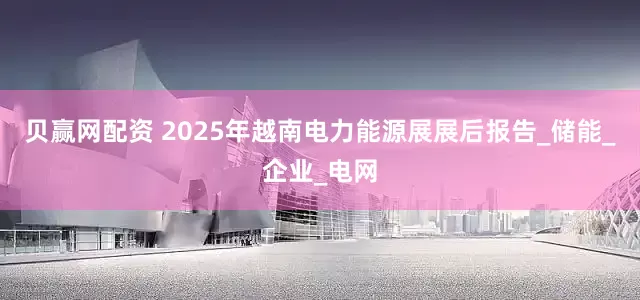 贝赢网配资 2025年越南电力能源展展后报告_储能_企业_电网