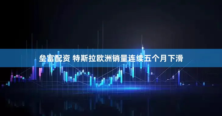垒富配资 特斯拉欧洲销量连续五个月下滑