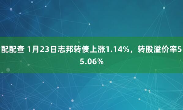 配配查 1月23日志邦转债上涨1.14%，转股溢价率55.06%